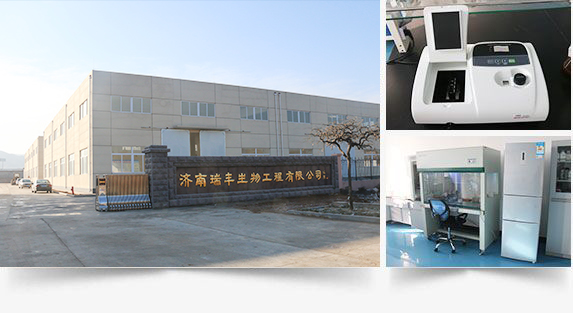 老永利官网 老永利官网